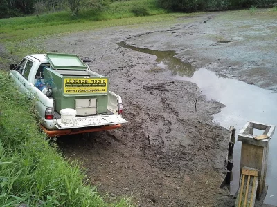 Přepravní bedna na ryby