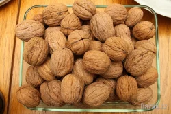 Prodám: Letošní Vlašské Ořechy Výběr z Několika Odrud