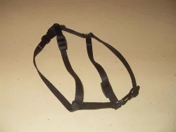 Prodám postroj a náhubek