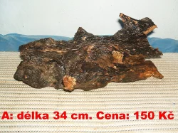 Kořeny do akvária