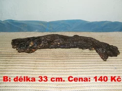 Kořeny do akvária