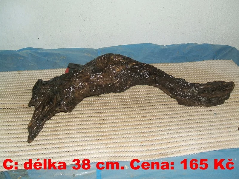Kořeny do akvária