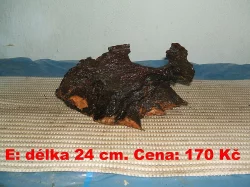 Kořeny do akvária
