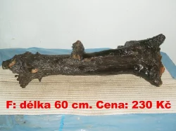Kořeny do akvária