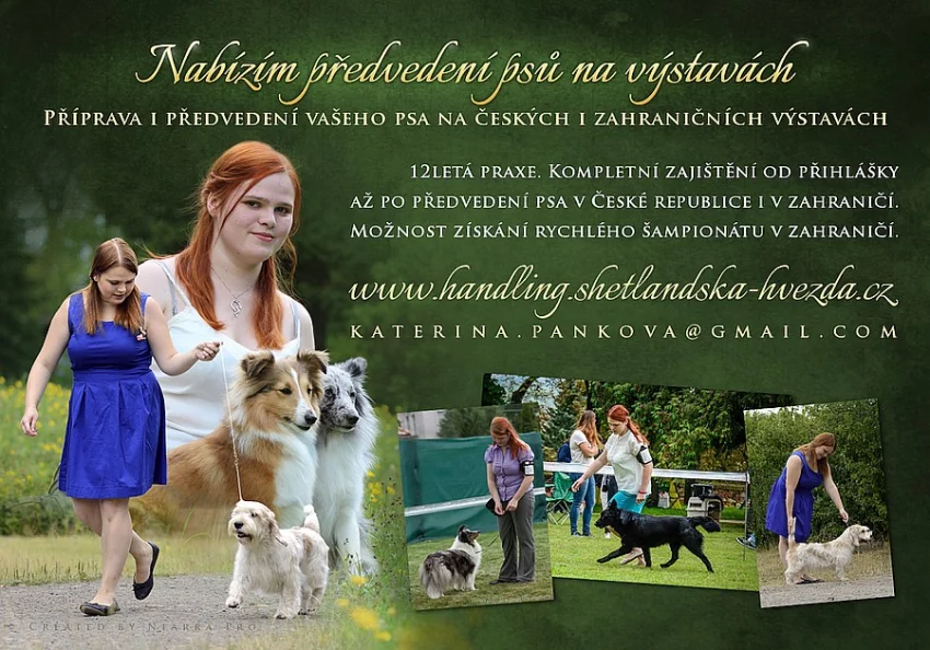 Nabízím handling - předvedení Vašeho pejska na výstavě