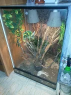 terárium s chameleonem
