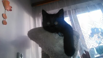 Daruji do dobrých rukou