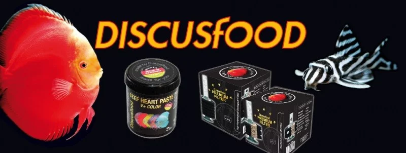 Prodej terčovců a krmení Discusfood