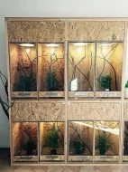 Kompletně zařízená terária - Každý týden rozvoz po celé ČR