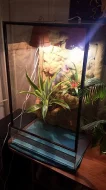Kompletně zařízená terária - Každý týden rozvoz po celé ČR