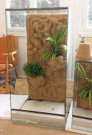 Kompletně zařízená terária - Každý týden rozvoz po celé ČR