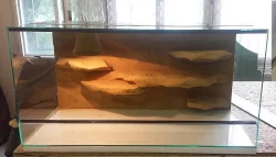 Kompletně zařízená terária - Každý týden rozvoz po celé ČR