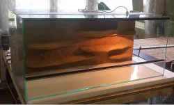 Kompletně zařízená terária - Každý týden rozvoz po celé ČR