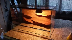 Kompletně zařízená terária - Každý týden rozvoz po celé ČR