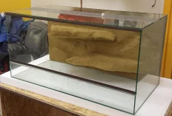 Kompletně zařízená terária - Každý týden rozvoz po celé ČR