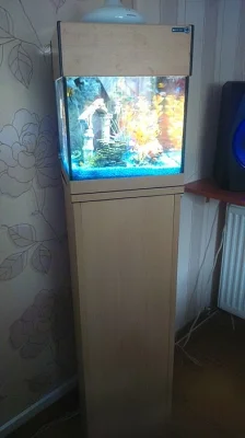 Prodám akvarijní set.