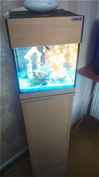 Prodám akvarijní set.