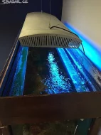 Mořské akvárium 290 litrů