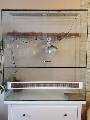 Prodám terarium pro leguána, chameleona, agamu....