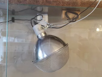 Prodám terarium pro leguána, chameleona, agamu....