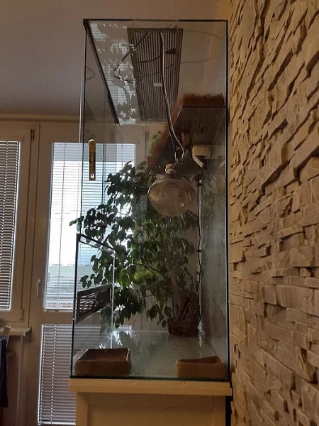 Prodám terarium pro leguána, chameleona, agamu....