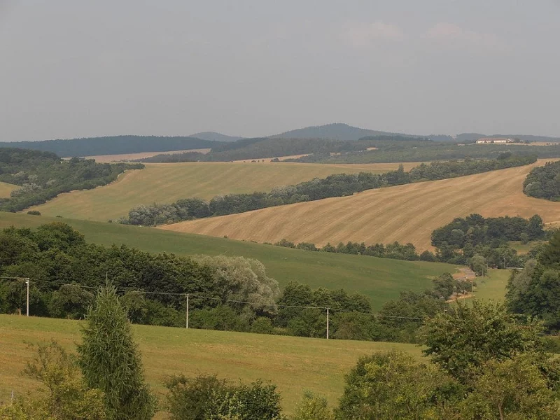 Pastevní ustájení