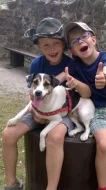 Parson Russell Terrier - štěňata s PP
