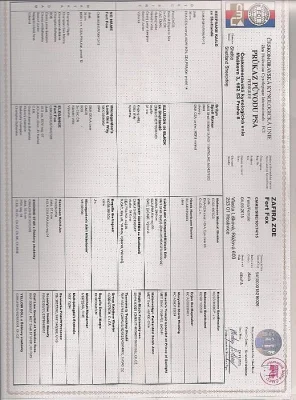 Šeltie - štěně fenku s PP
