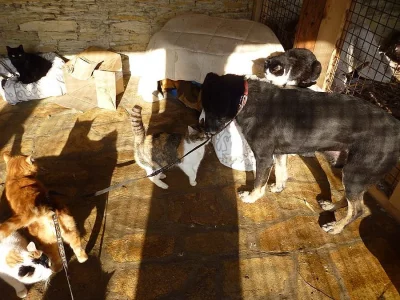 Vděčný DIAN hledá hodné lidi - DARUJEME