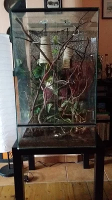 prodám 6 měsíců Stare terarium