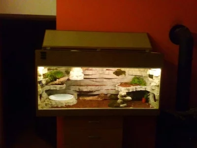 Vyrobíme Vám terárium na míru: