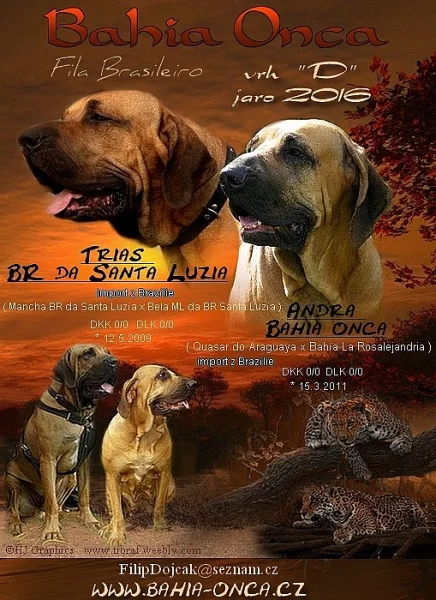 Fila Brasileiro