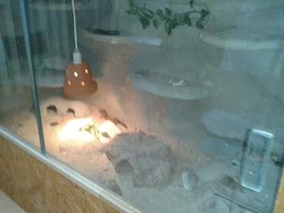 Prodej kompletu terárií