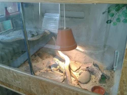 Prodej kompletu terárií