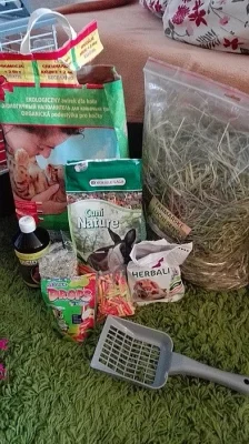 Zakrslý králíček i s vybavením SPĚCHÁ