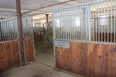 Nabízíme ustájení koní v areálu Těchov u Blanska.