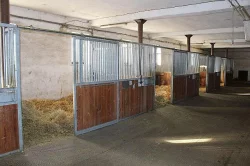 Nabízíme ustájení koní v areálu Těchov u Blanska.