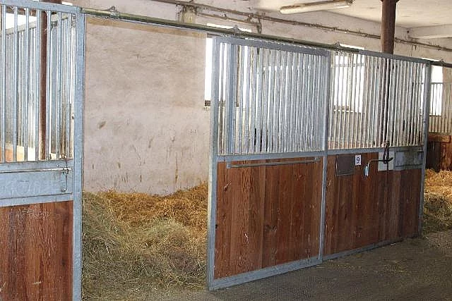 Nabízíme ustájení koní v areálu Těchov u Blanska.