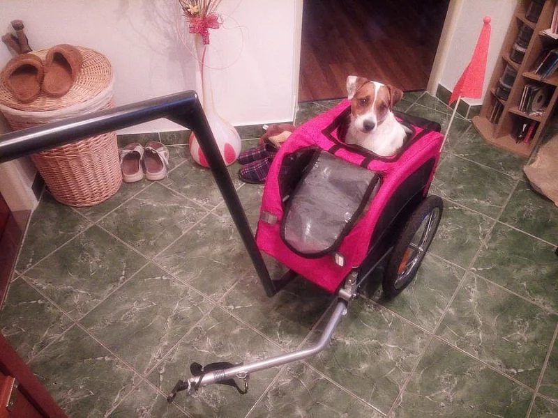 vozík pro psa