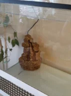 Prodám terarium