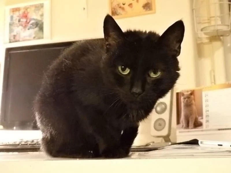 ALMA - kdysi zkroušená, dnes veselá