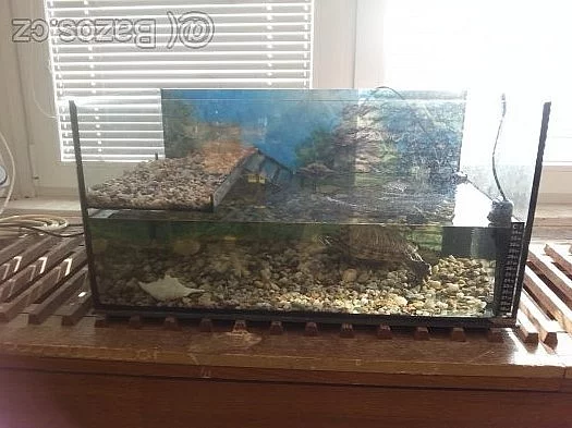 Prodám želvárium