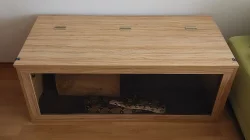 Hroznýš královský + terarium