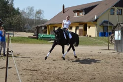 Klisna do sportu i k rekreaci
