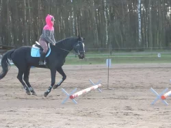 Klisna do sportu i k rekreaci