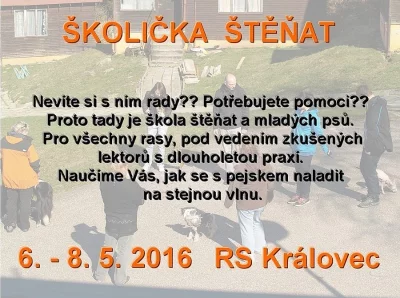 Škola štěňat