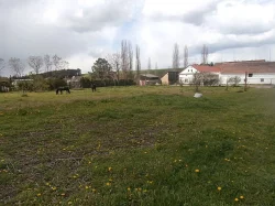 Ustájení