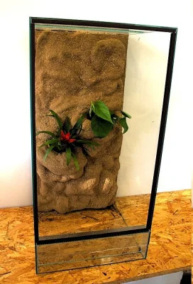 Kompetně zařízená terária pro Chameleony