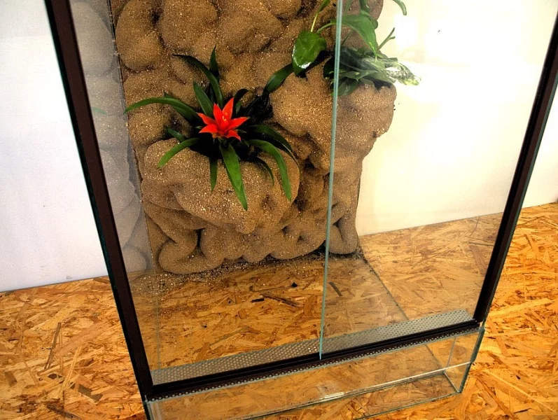 Kompetně zařízená terária pro Chameleony