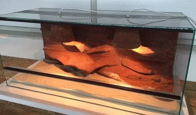 Kompetně zařízená terária pro Agamy